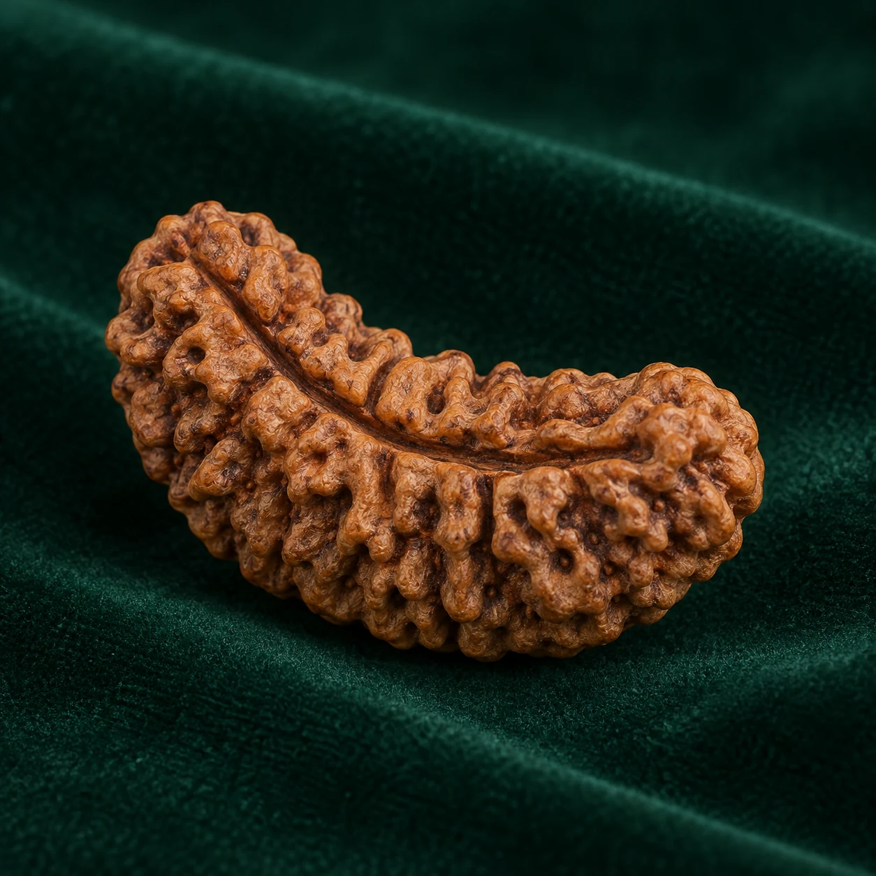 Ek Mukhi (Kaju) by NoorKara