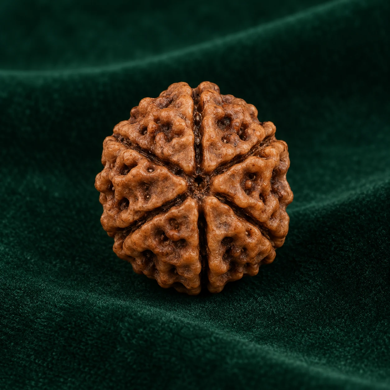Panch Mukhi by NoorKara
