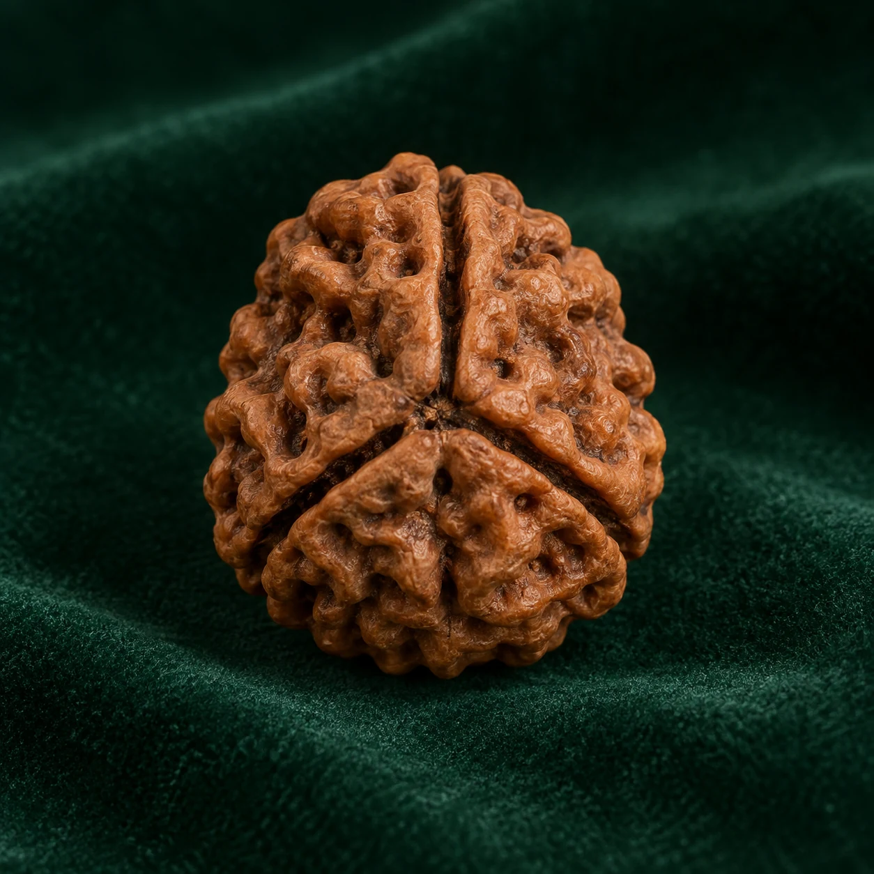 Teen Mukhi by NoorKara
